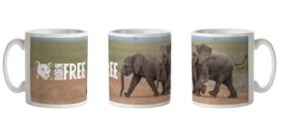 Mugs