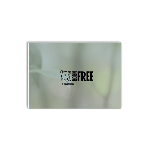 Kamaya the Silverback A5 Notepad by Dave Currey