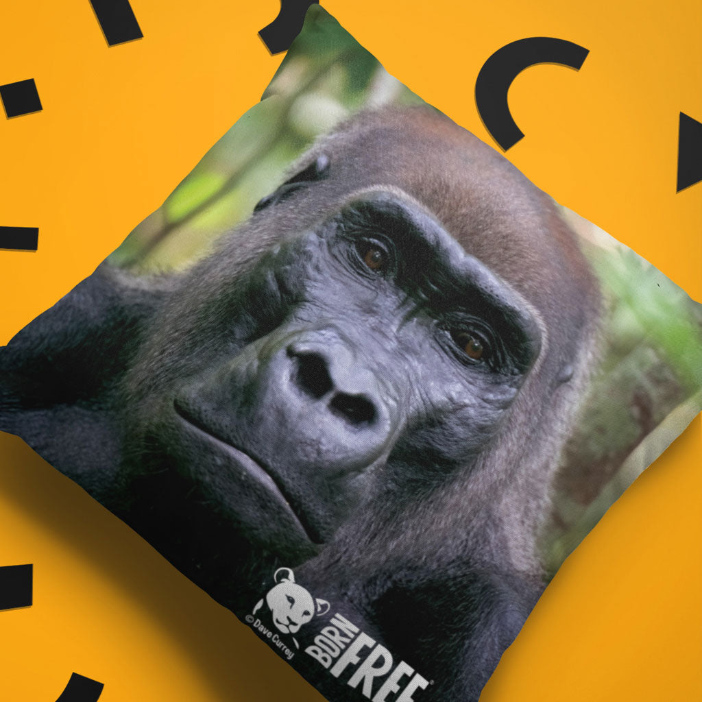 Kamaya the Silverback Organic Cushion by Dave Currey