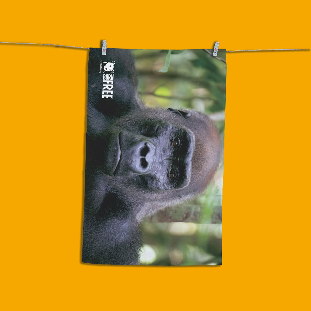Kamaya the Silverback Organic Tea Towel by Dave Currey