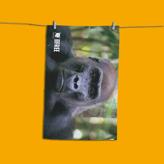 Kamaya the Silverback Organic Tea Towel by Dave Currey