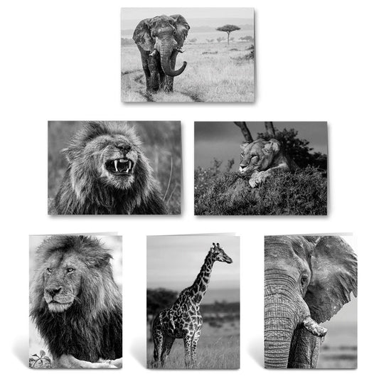 Born Free Will Travers Cards - Pack of 12