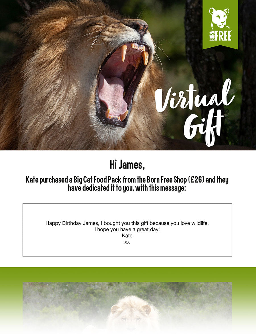 Virtual Gifts