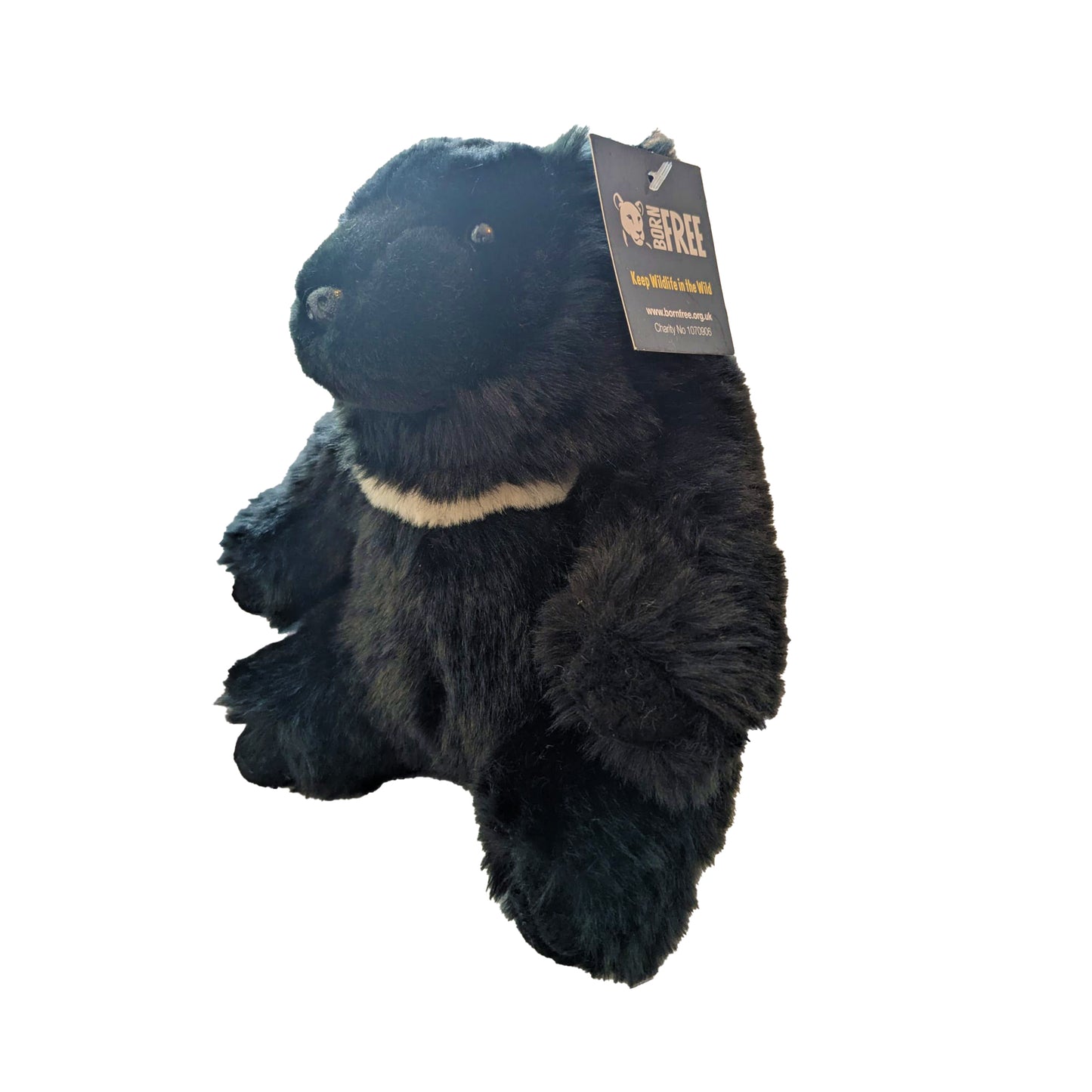 Moon Bear Plush 20cm