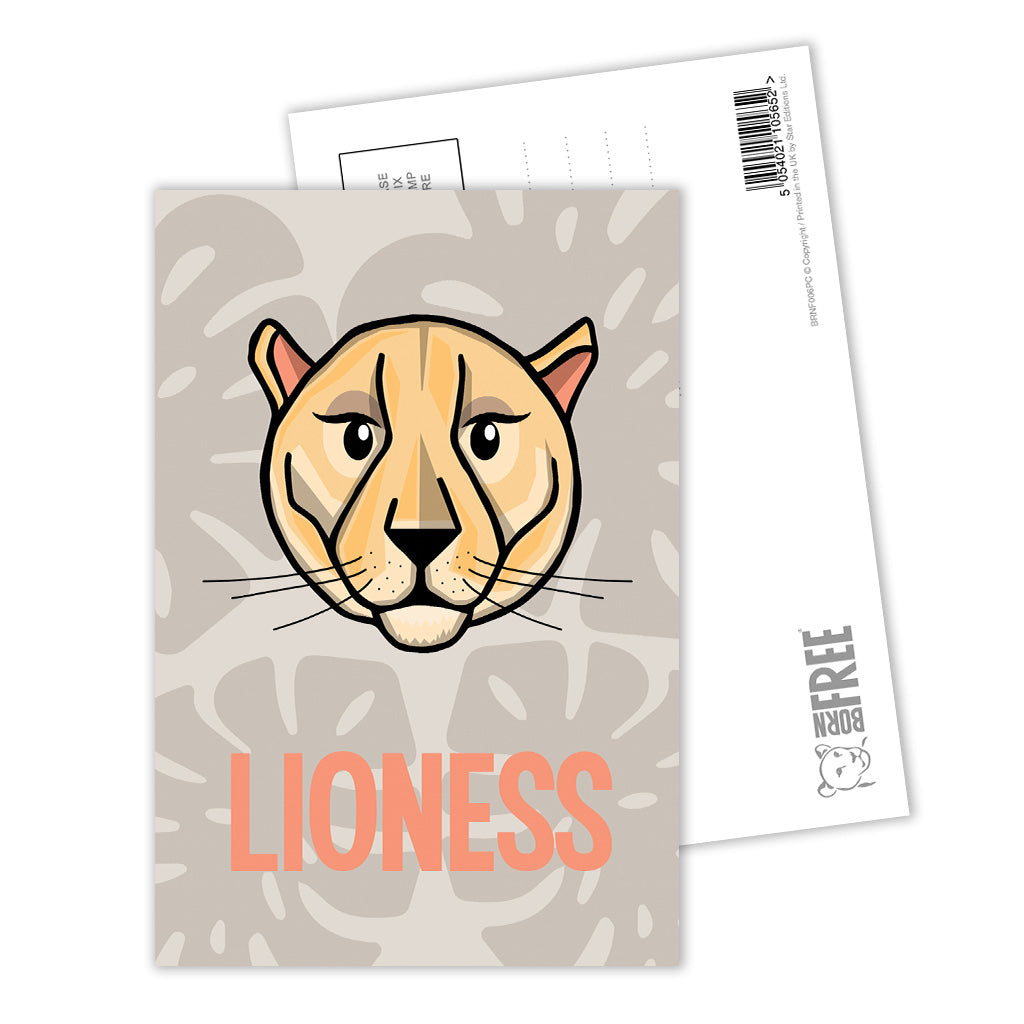 Lioness Postcard Pack of 8