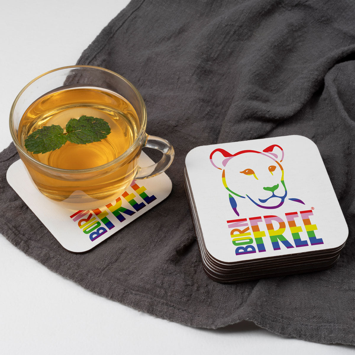 Born Free Rainbow Logo Coaster