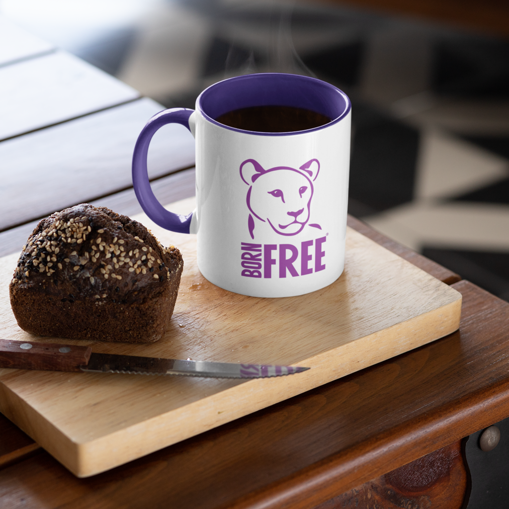 Born Free Logo Coloured Insert Mug