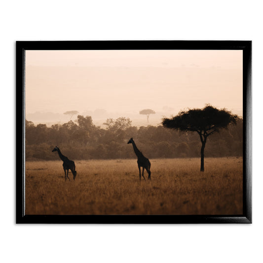 Giraffes in the Wild Art Print by Will Travers