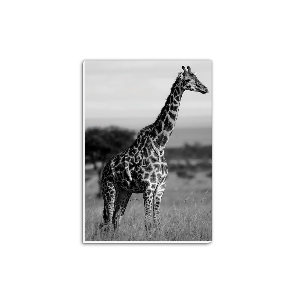 Tall Standing Giraffe A5 Notepad by Will Travers