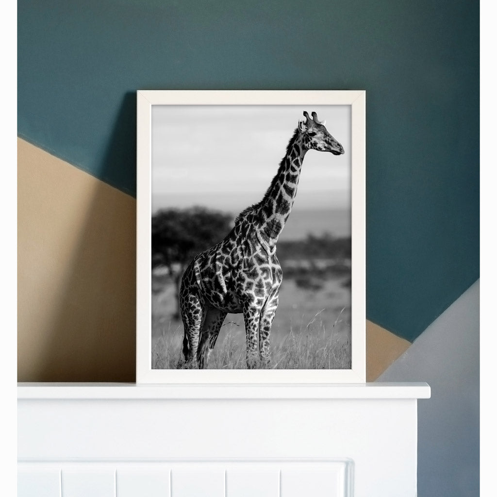 Tall Standing Giraffe Art Print by Will Travers