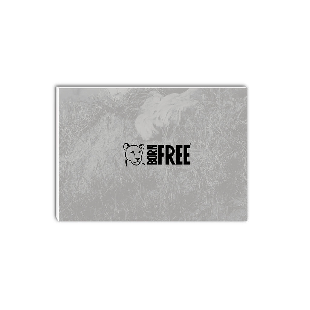 Lioness A5 Notepad by Will Travers
