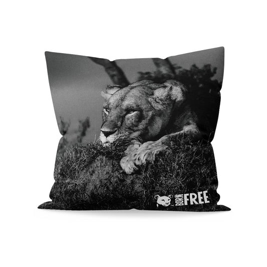 Lioness Black and White Organic Cushion - Born Free Photography