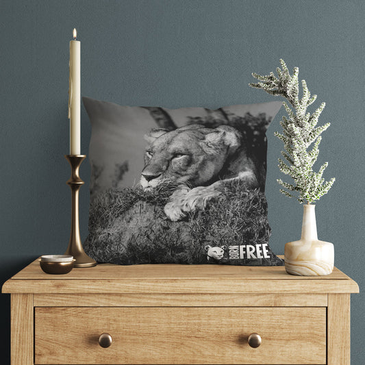 Lioness Black and White Organic Cushion - Born Free Photography