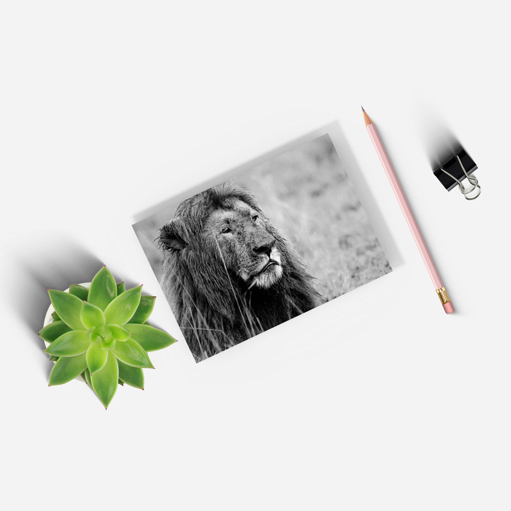 Proud Lion A5 Notepad by Will Travers
