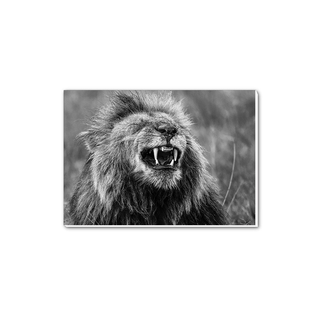 Happy Lion A5 Notepad by Will Travers