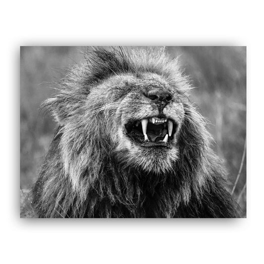 Happy Lion Art Print by Will Travers