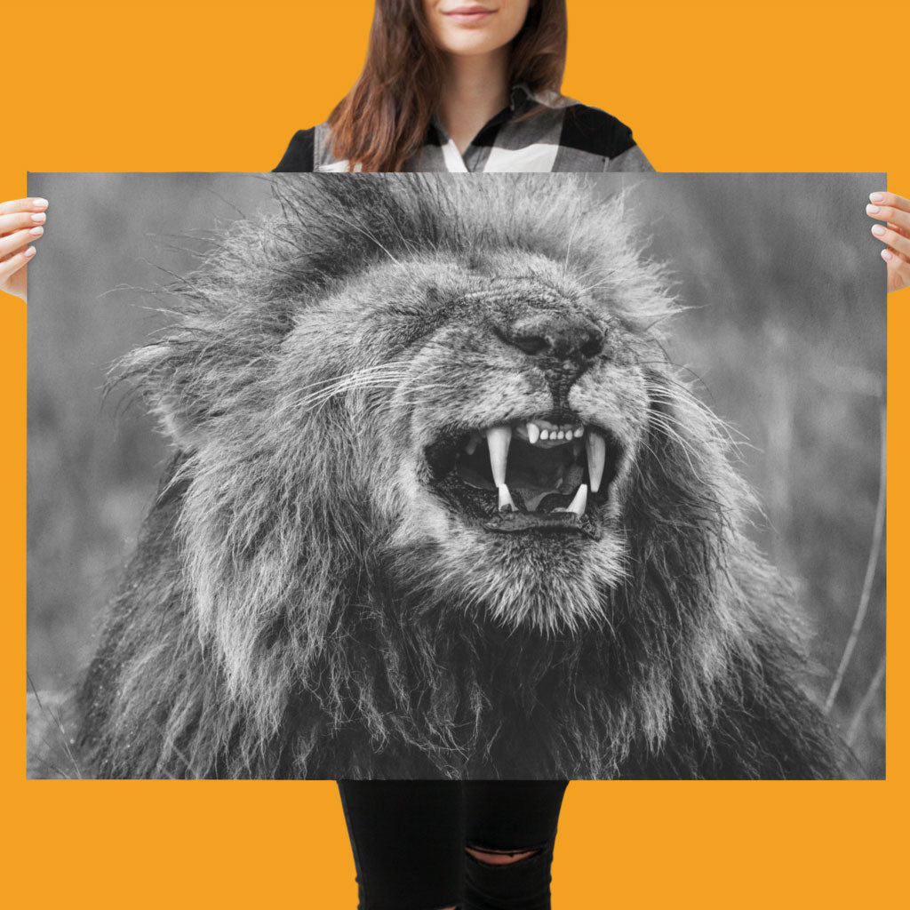 Happy Lion Art Print by Will Travers