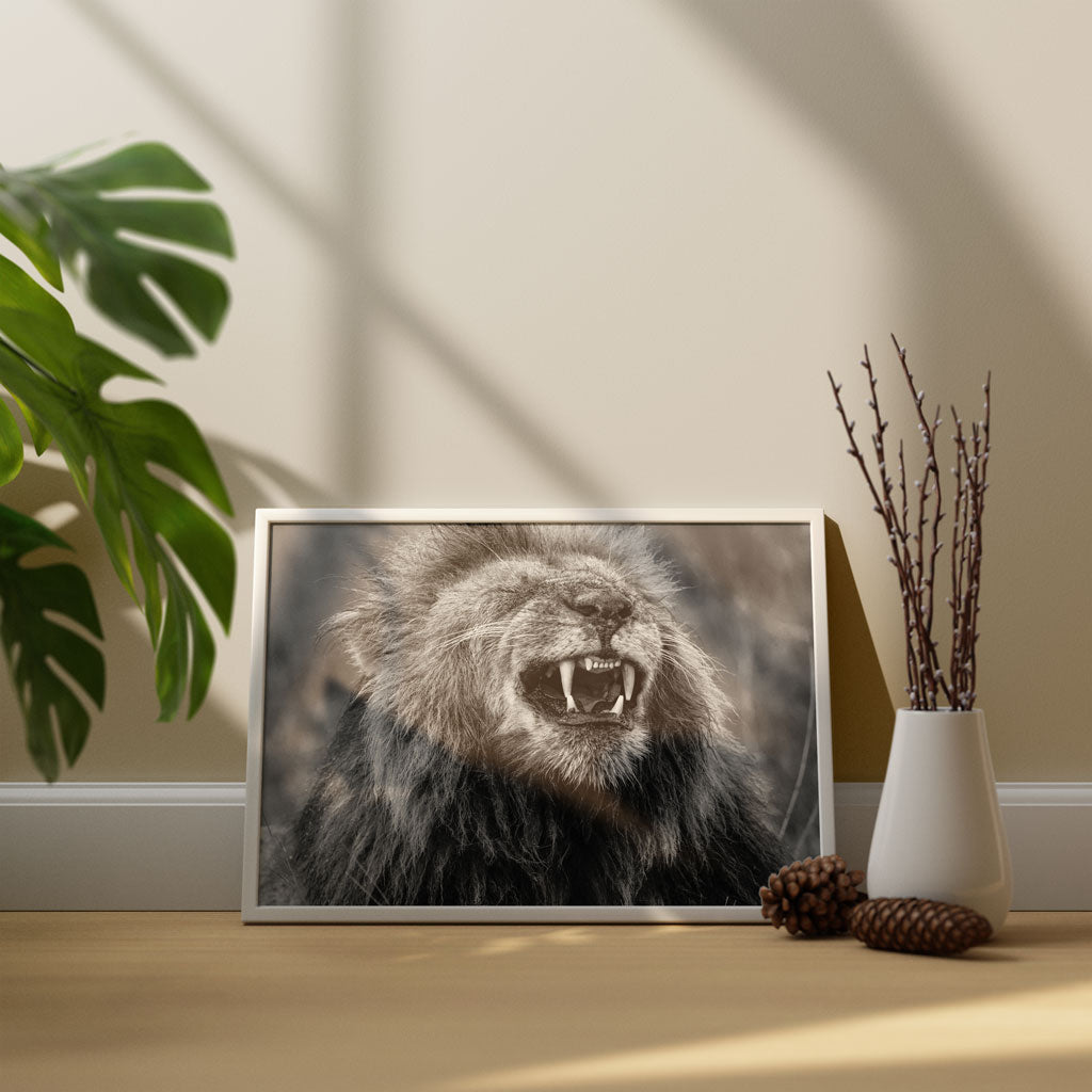 Happy Lion Art Print by Will Travers