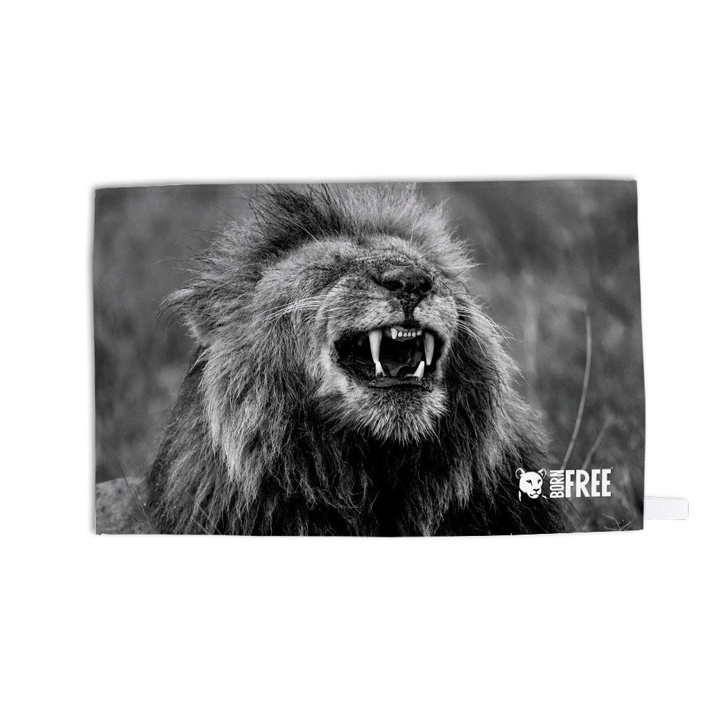 Happy Lion Tea Towel by Will Travers