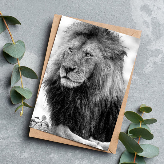 Handsome Lion Black and White Greeting Cards - Pack of 6