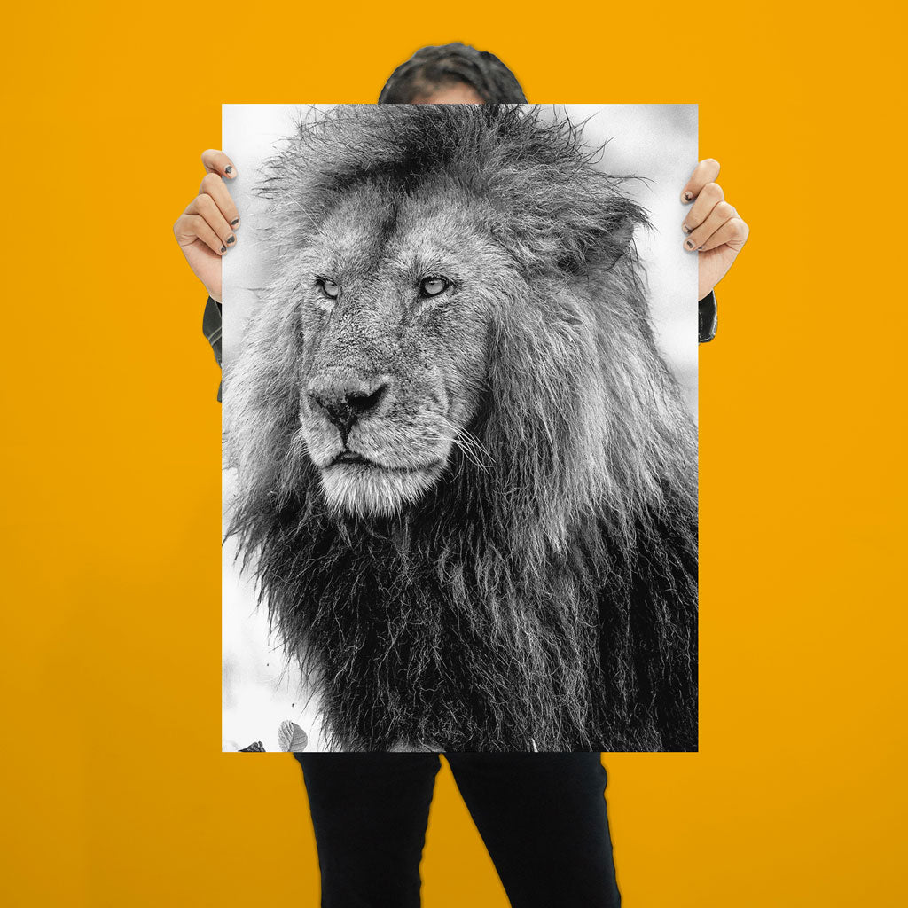Handsome Lion Art Print by Will Travers