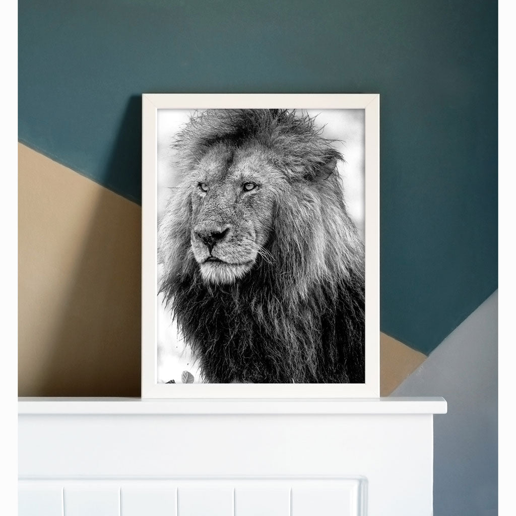 Handsome Lion Art Print by Will Travers
