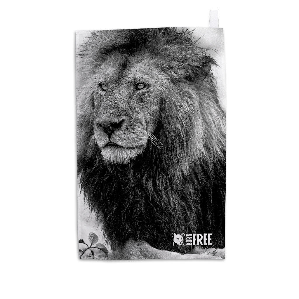 Handsome Lion Tea Towel by Will Travers