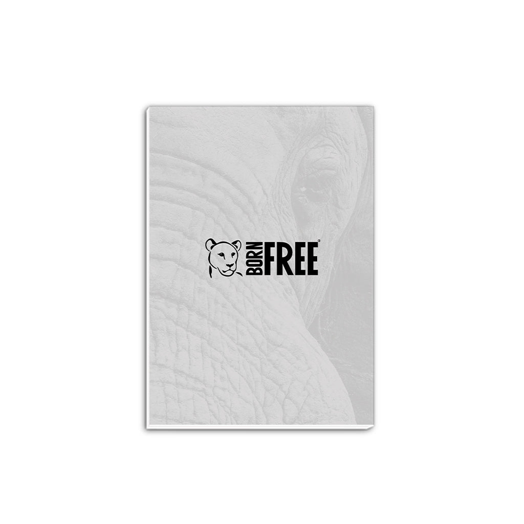 African Elephant A5 Notepad by Will Travers