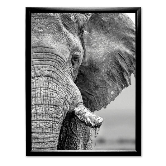 African Elephant Art Print by Will Travers