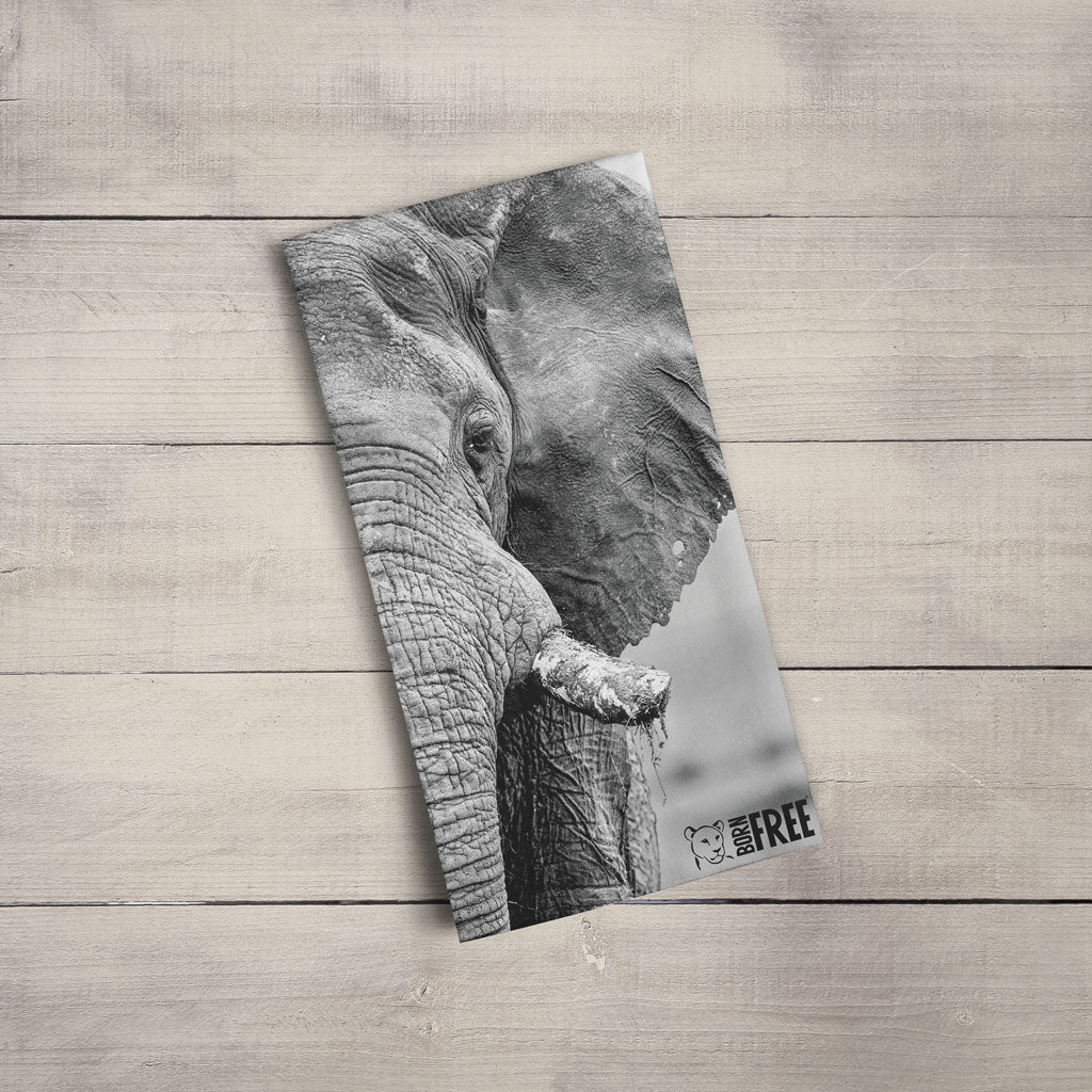 African Elephant Tea Towel by Will Travers