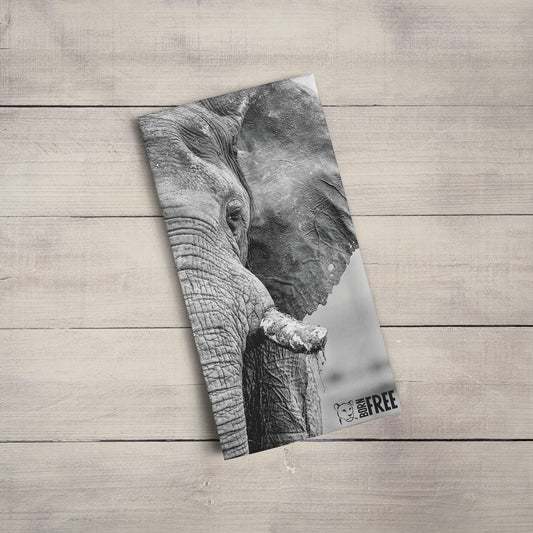 African Elephant Black and White Tea Towel - Born Free Photography