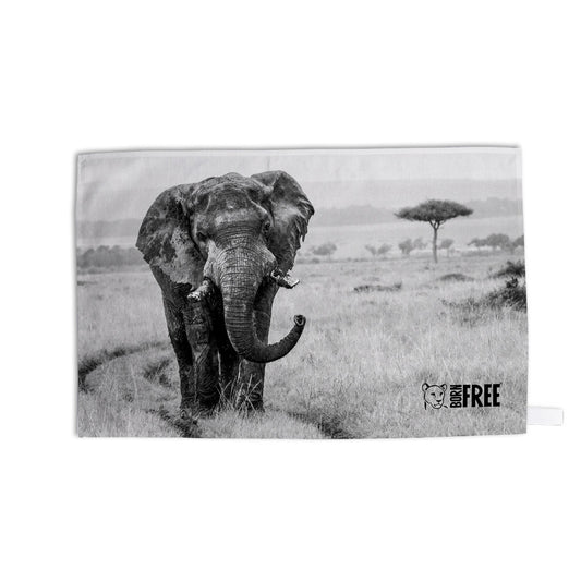 Elephant in the Wild Tea Towel by Will Travers