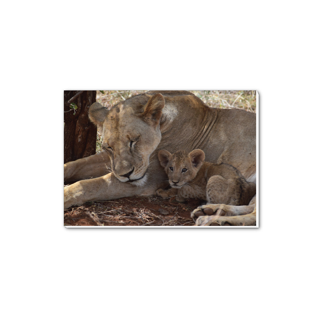 Lioness & Cub A5 Notepad by Will Travers