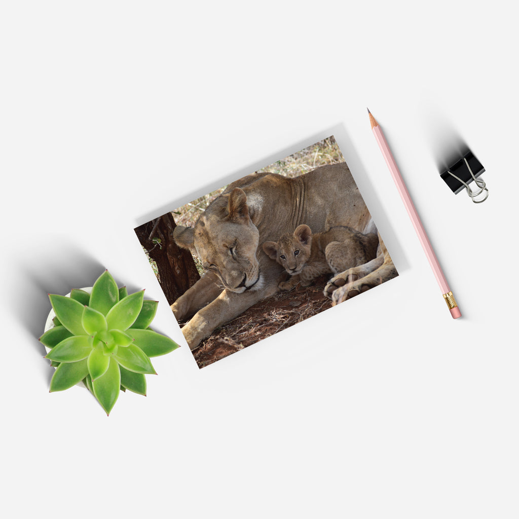 Lioness & Cub A5 Notepad by Will Travers