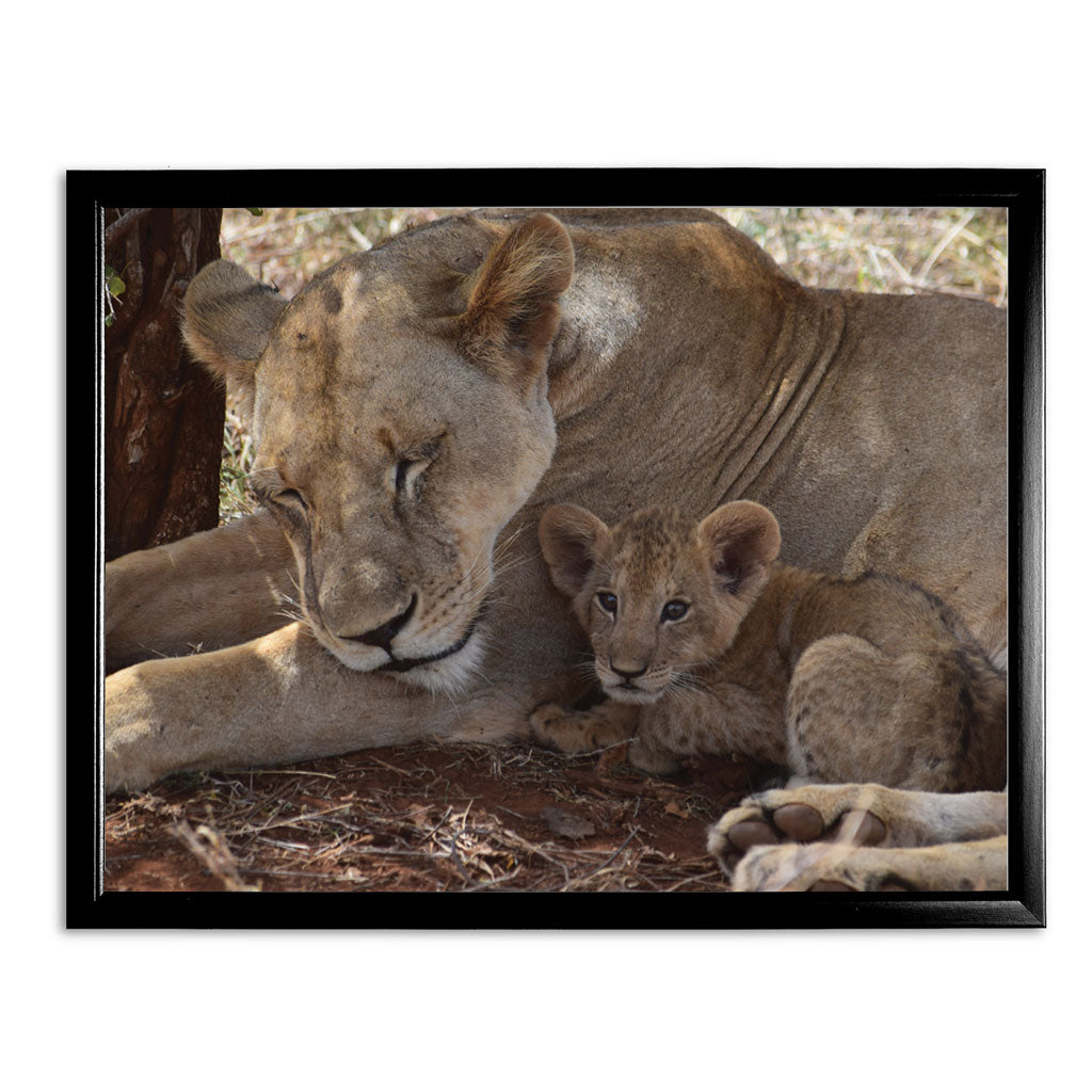Lioness & Cub Art Print by Will Travers