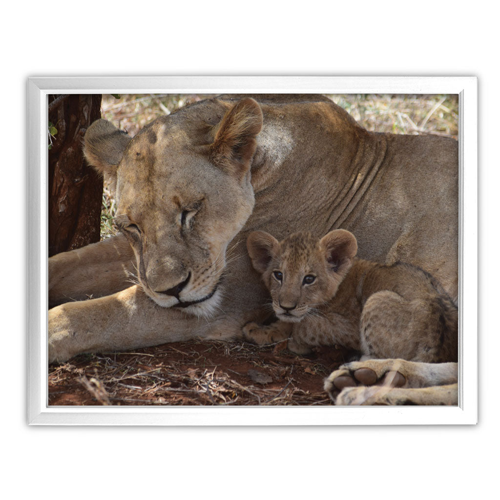 Lioness & Cub Art Print by Will Travers