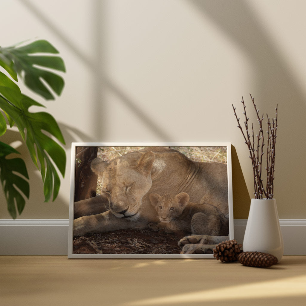 Lioness & Cub Art Print by Will Travers