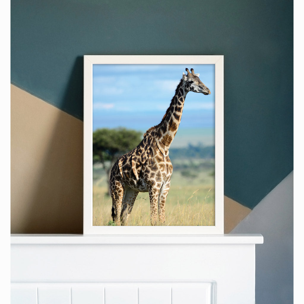 Giraffe Art Print by Will Travers