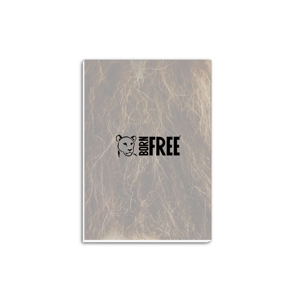 Stalking Lion A5 Notepad by Will Travers