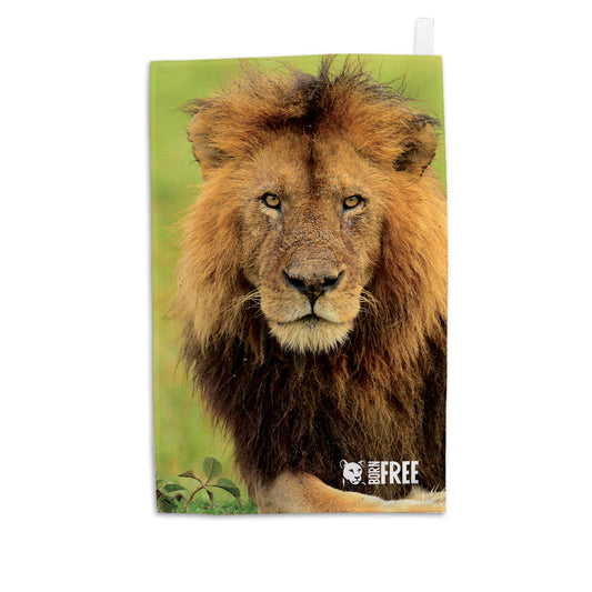 Stalking Lion Tea Towel by Will Travers