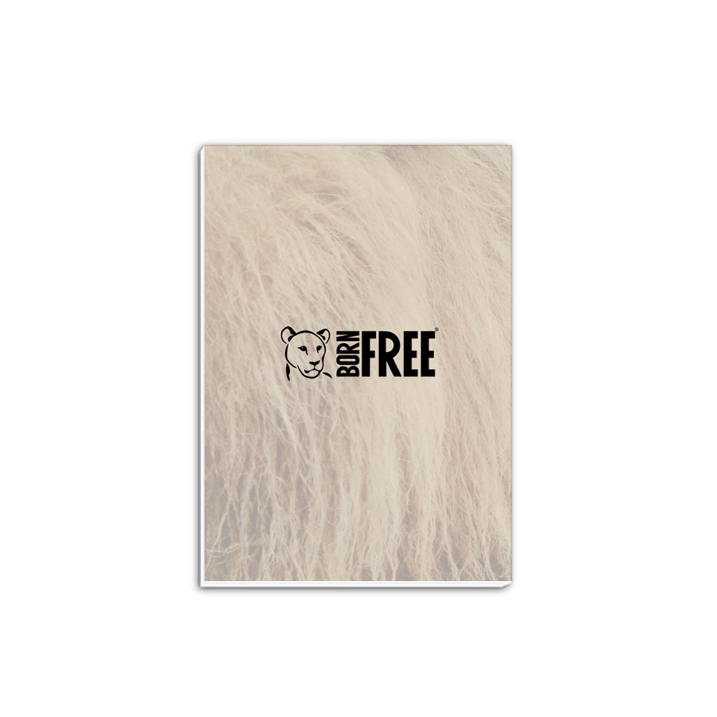 Lion A5 Notepad by Will Travers