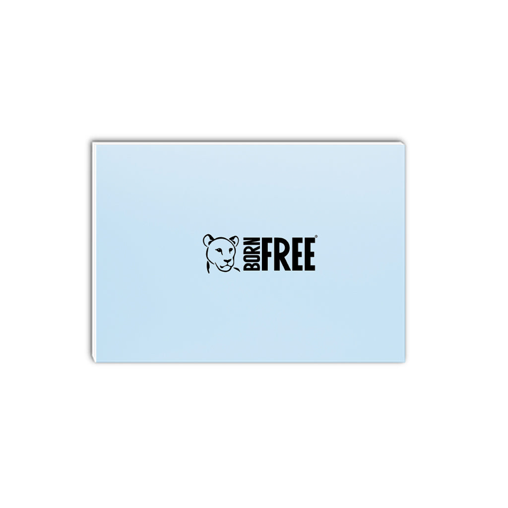 Close up Giraffe A5 Notepad by Will Travers