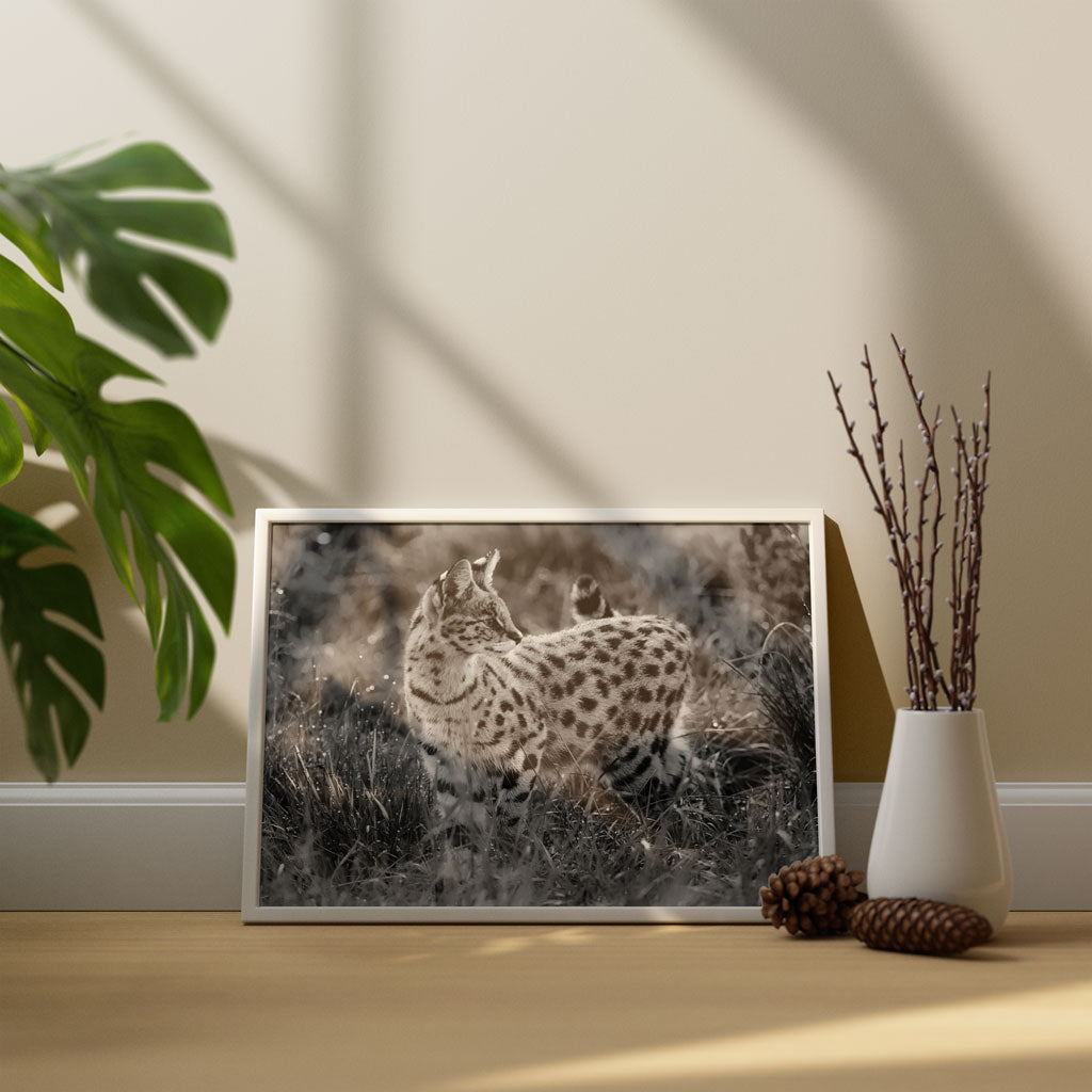 Serval Cat Art Print by Will Travers