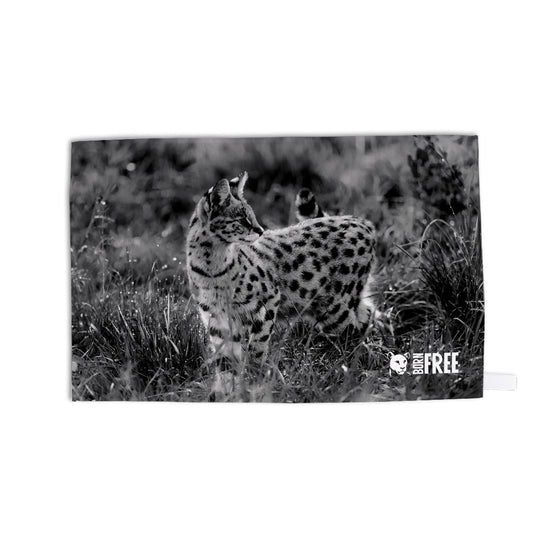 Serval Cat Organic Tea Towel by Will Travers