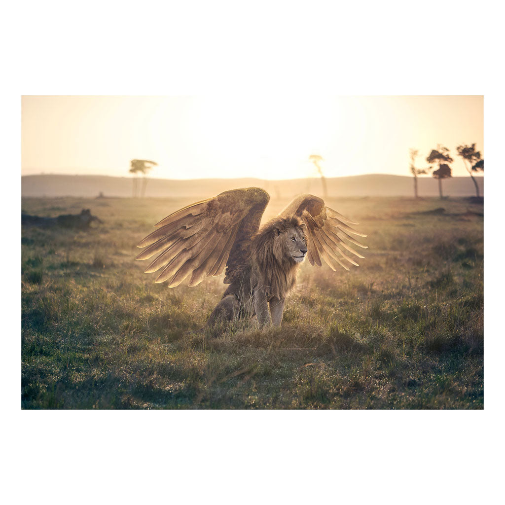 Limited Edition Prints Signed by Dame Virginia McKenna - 'How Long Until They're Just A Myth?' by George Logan