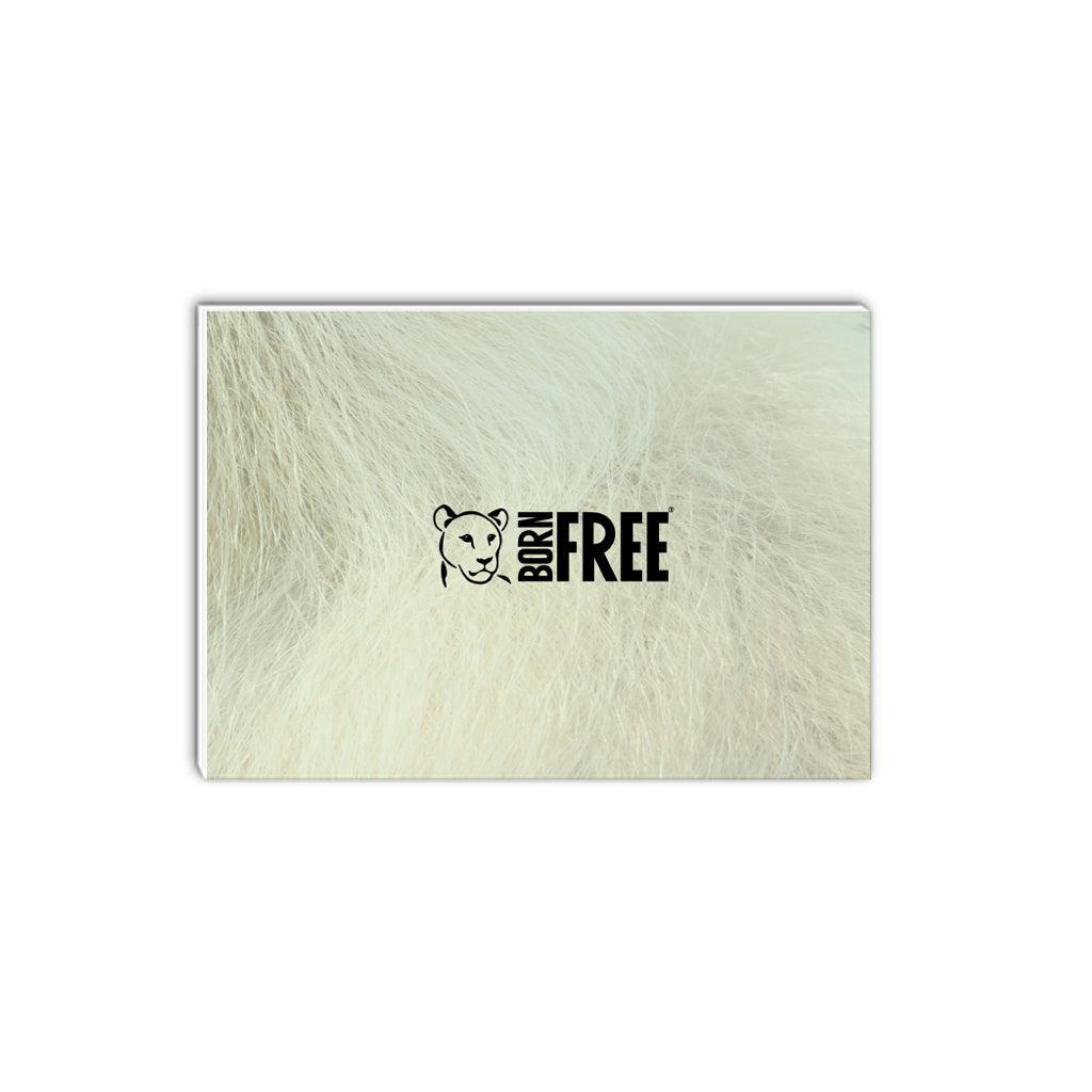 The Look  - Gray Langur A5 Notepad by Will Travers