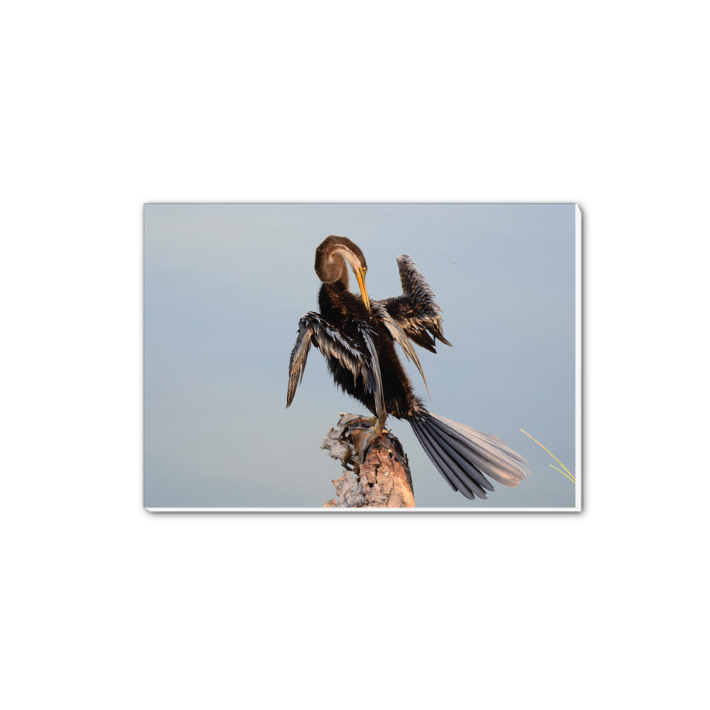 Snake Bird A5 Notepad