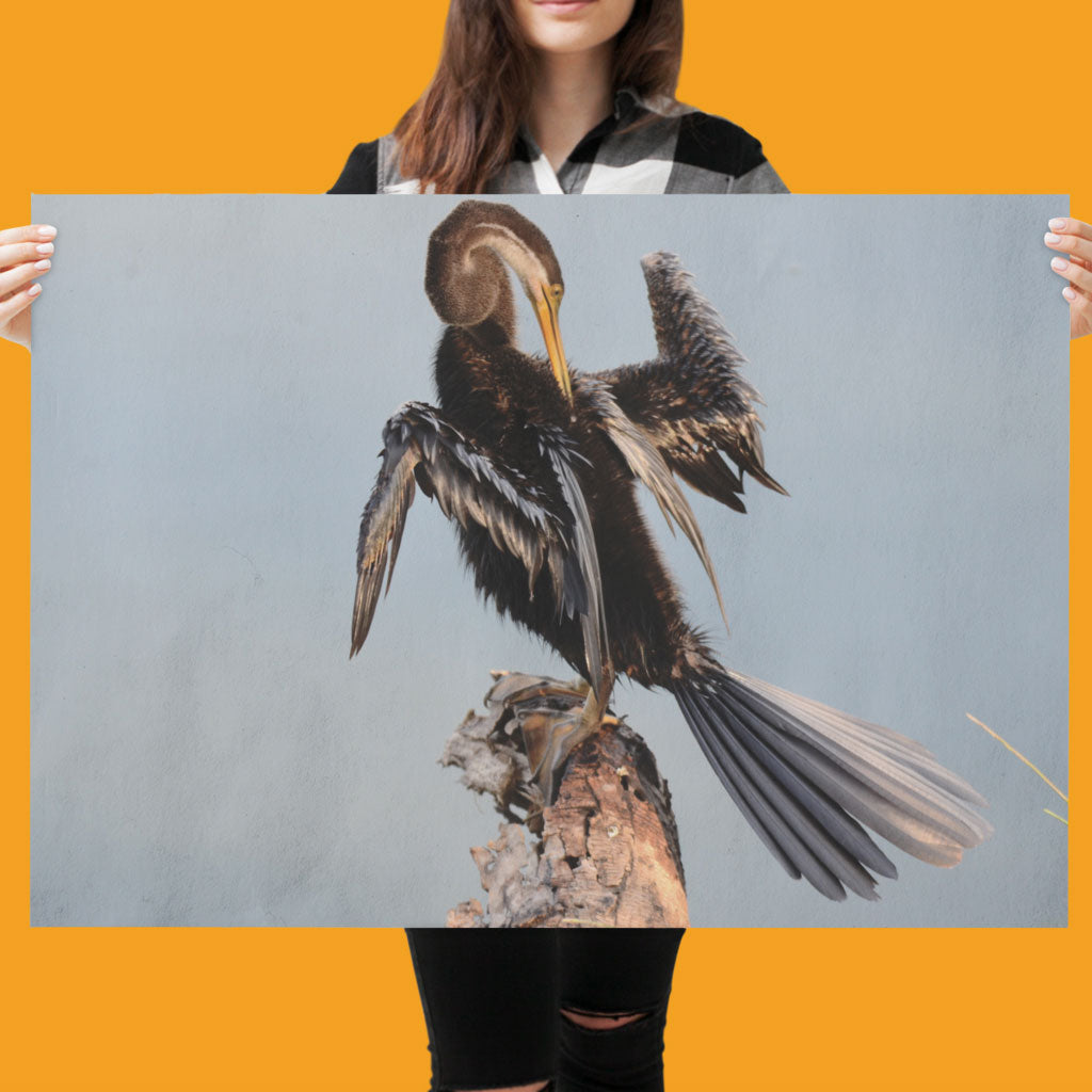 Snake Bird Art Print by Will Travers