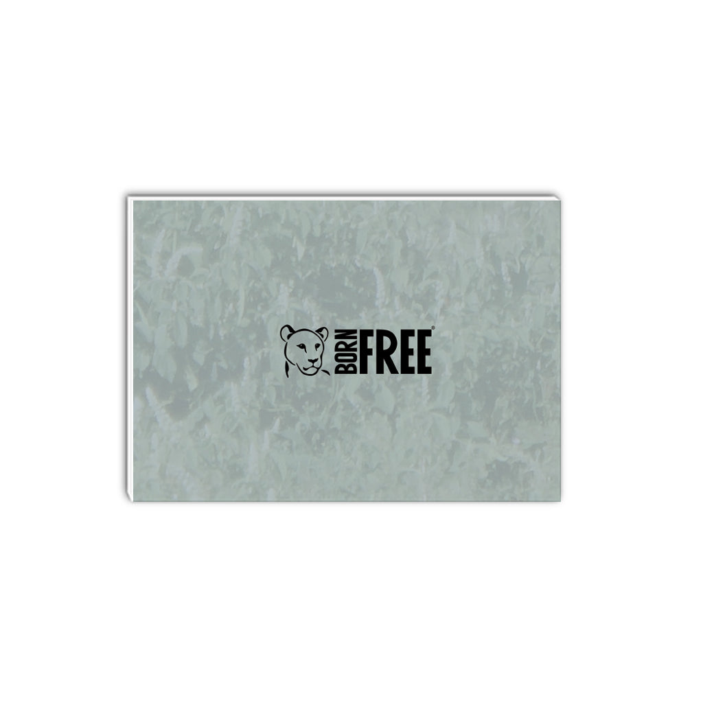 Magnificence A5 Notepad by Will Travers
