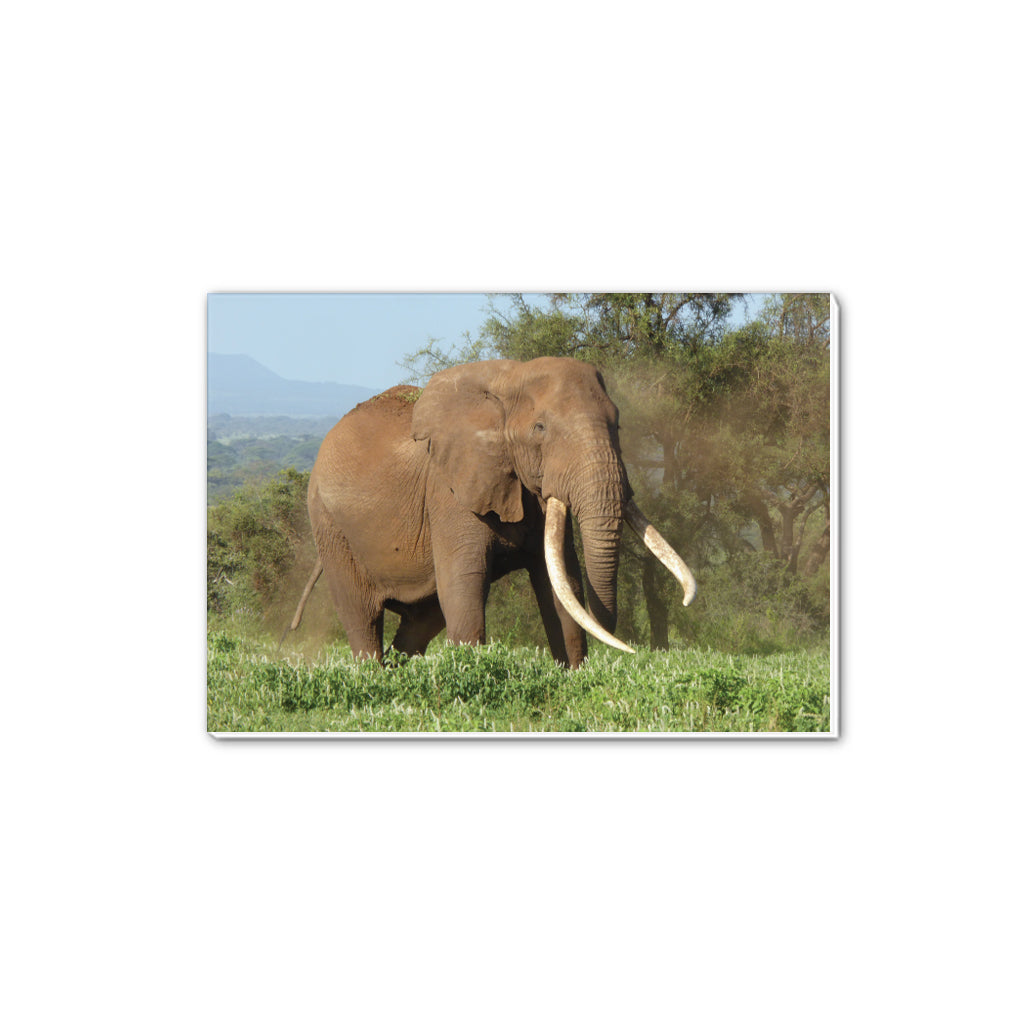 Magnificence A5 Notepad by Will Travers